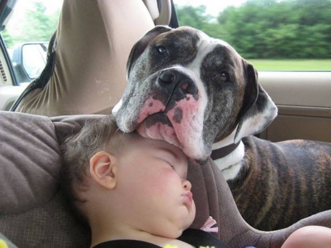 15 fotó mely bizonyíték arra, miért kell a gyereknek kutyával felnőni. A 4-es kép egyszerűen zseniális!