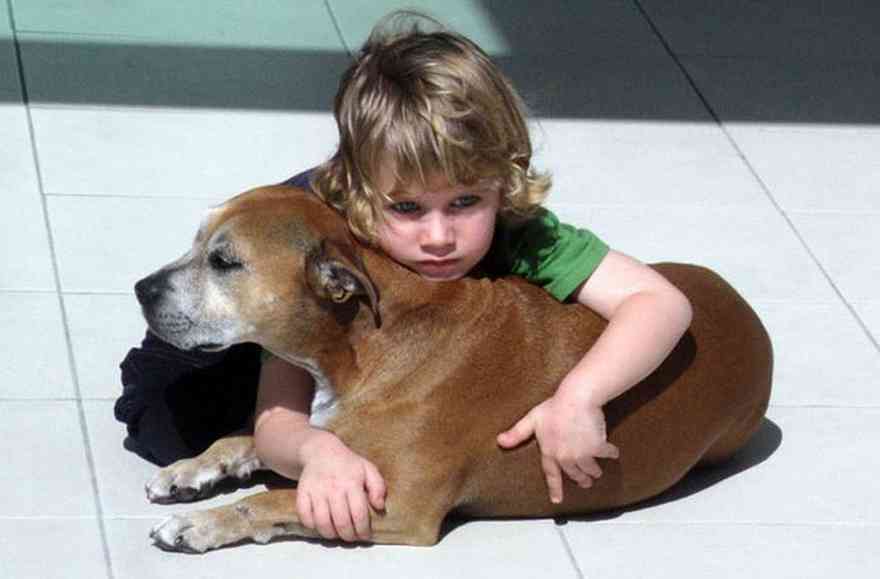 Az állatorvos elaltatná a rákos kutyát -de a kisfiú búcsúszavai megrendítik az egész világot!