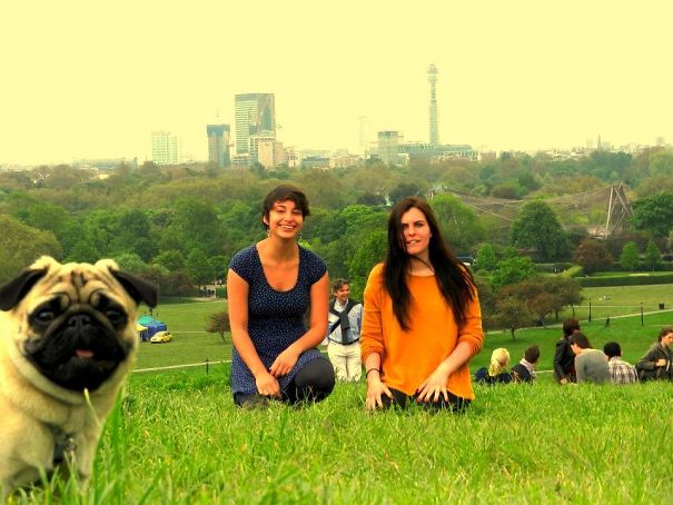 13 kutya, aki a legjobb pillanatban szabotálta a családi fotókat