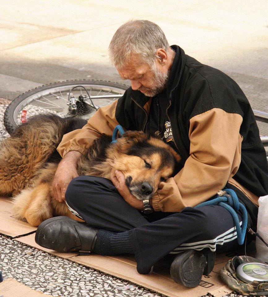 14 hajléktalan és a kutyája