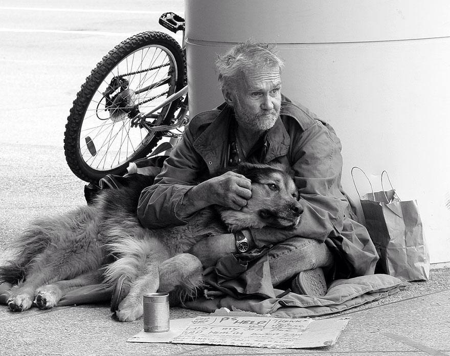 14 hajléktalan és a kutyája