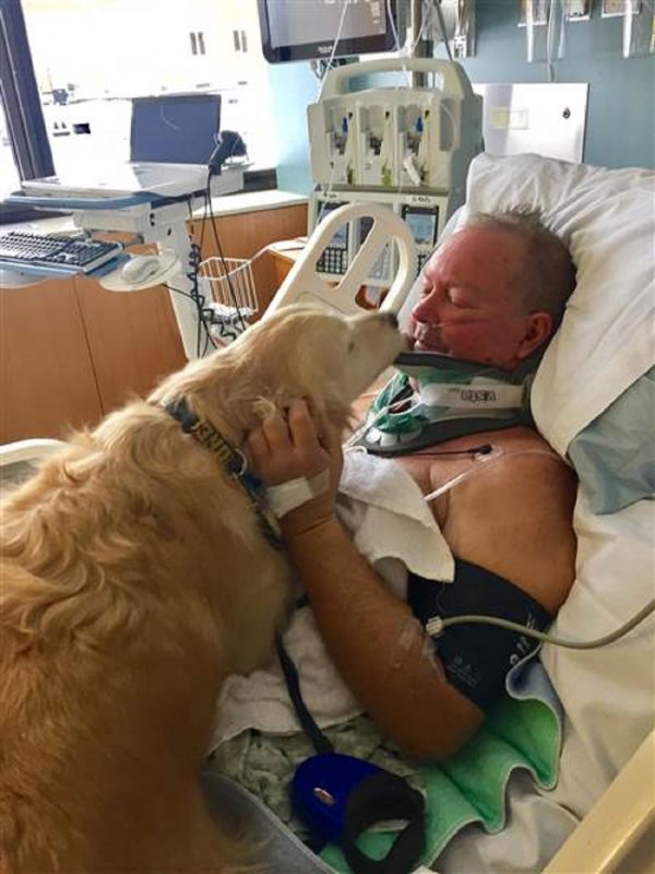 20 órán át vigyázott a kutyus magatehetetlen gazdijára, aki eltörte a nyakát