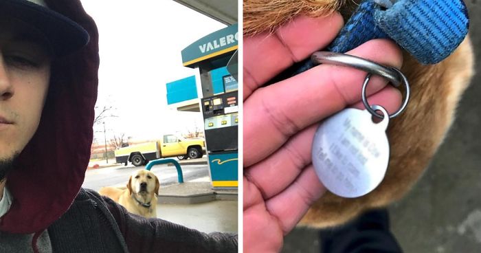 A fiú egy kutyát talál a benzinkútnál – próbál rajta segíteni aztán látja mi van a nyakában