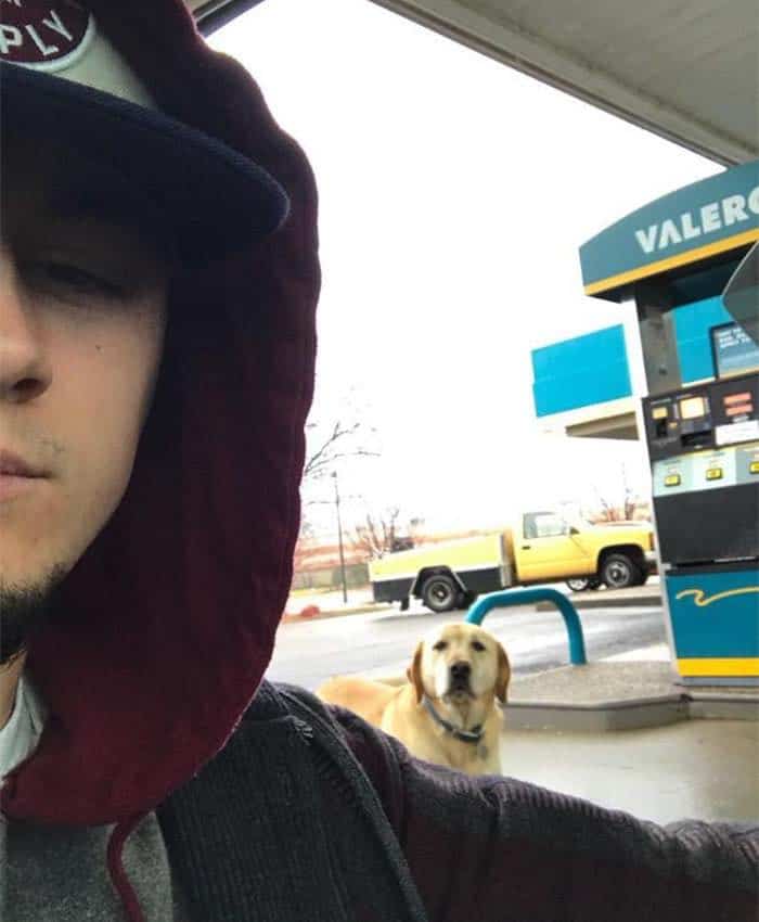A fiú egy kutyát talál a benzinkútnál