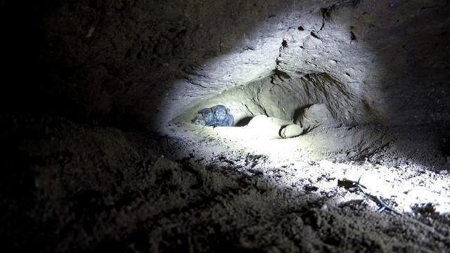 A férfi 8 kiskutyát talál a barlangban