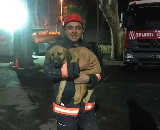 A kutya 10 napig mozdulni sem tud – nézd mit csinál mikor a tűzoltók végre kiszabadítják