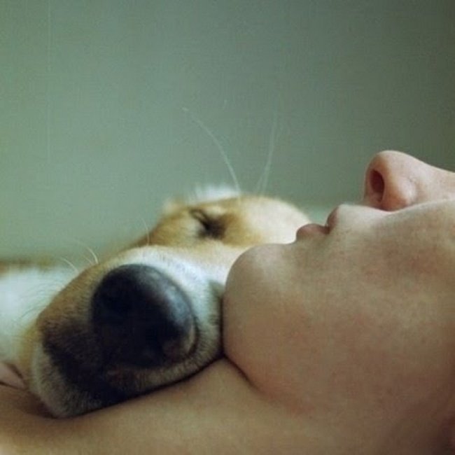 16 fotó, amely bebizonyítja hogy a kutya az ember legjobb barátja. Szívmelengető képsorok!