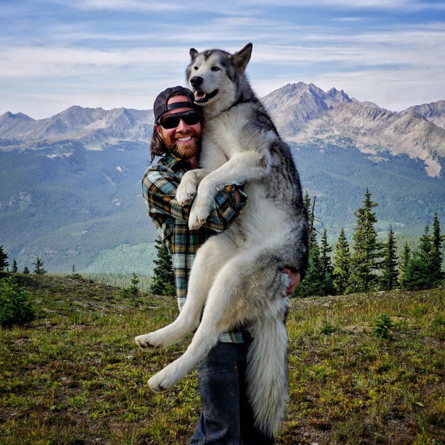 Ez a férfi a kutyájával utazza be a világot