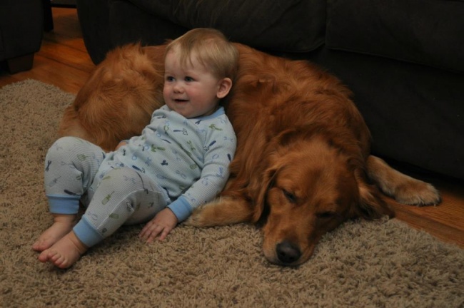 kutyák és gyermekek