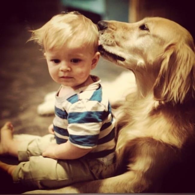 kutyák és gyermekek