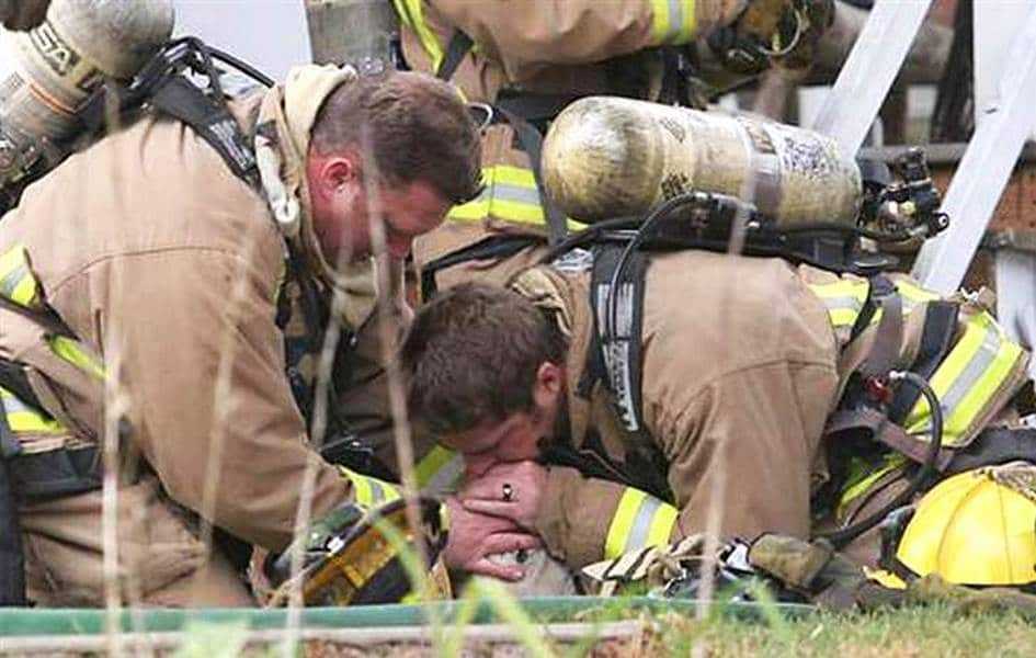 18 kép tűzoltókról akik állatok életét mentik meg 17