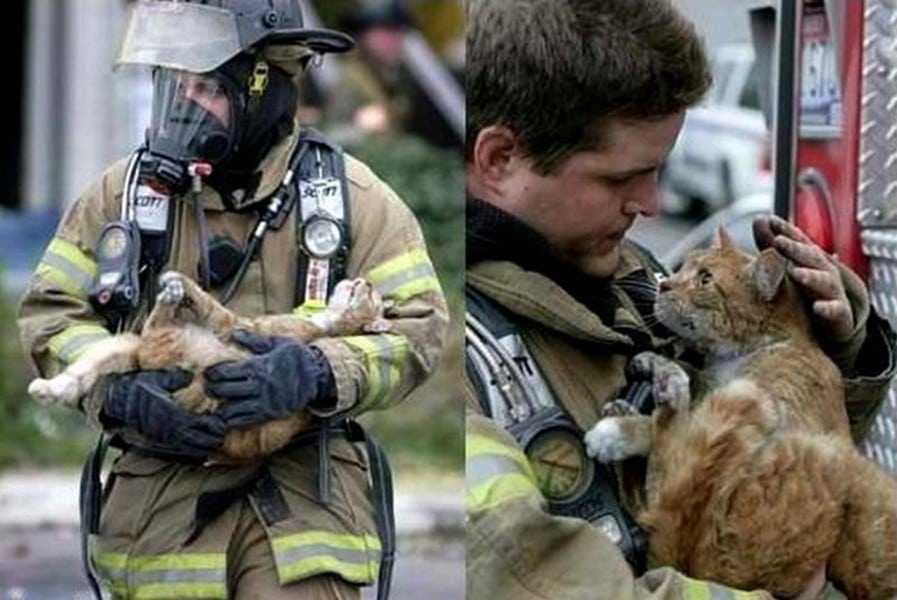 18 kép tűzoltókról akik állatok életét mentik meg 18