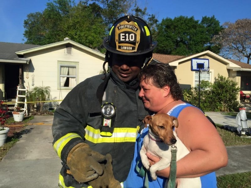 18 kép tűzoltókról akik állatok életét mentik meg 4
