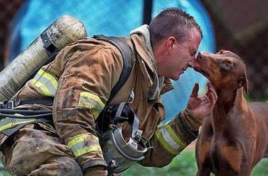 18 kép tűzoltókról akik állatok életét mentik meg 6