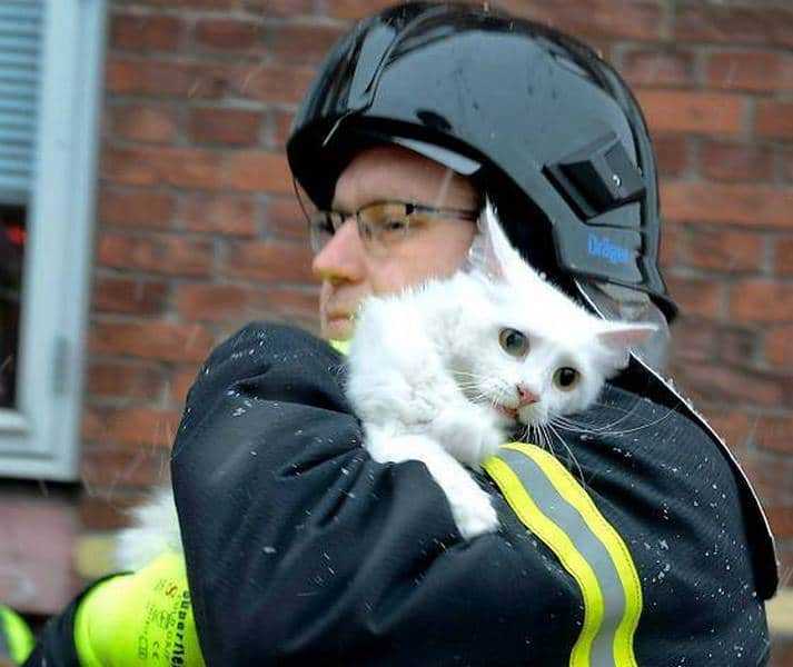 18 kép tűzoltókról akik állatok életét mentik meg 7