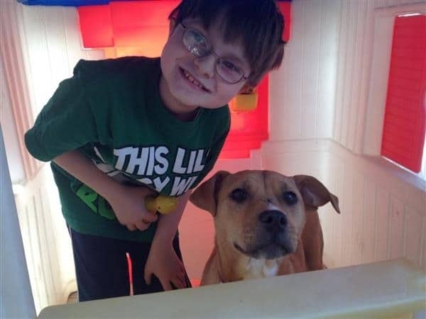 A haldokló kutyát egy 8 éves autista fiú fogadta örökbe10