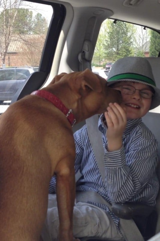 A haldokló kutyát egy 8 éves autista fiú fogadta örökbe8