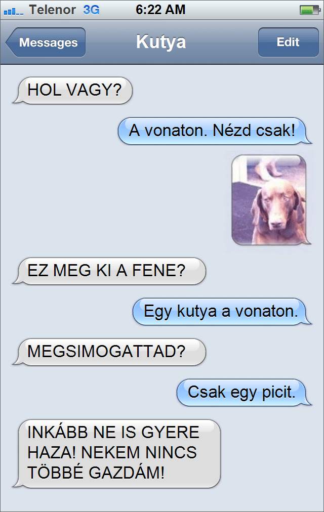 kutya sms4