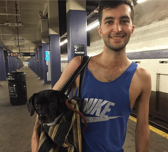 kutyák a metrón7