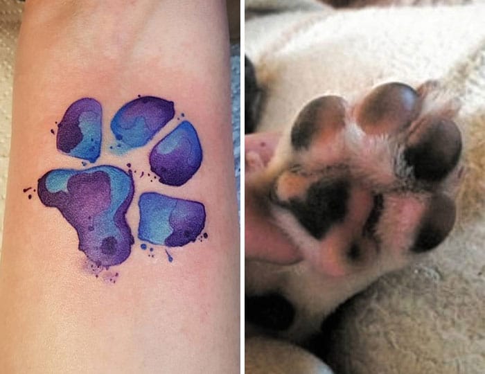 21 gazdi, aki a kutyája tappancsát tetováltatta magára10