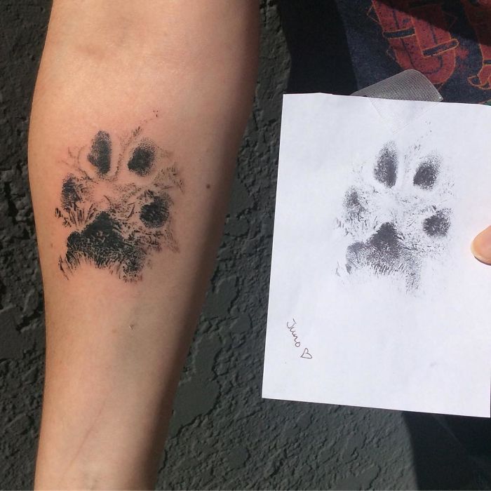21 gazdi, aki a kutyája tappancsát tetováltatta magára12