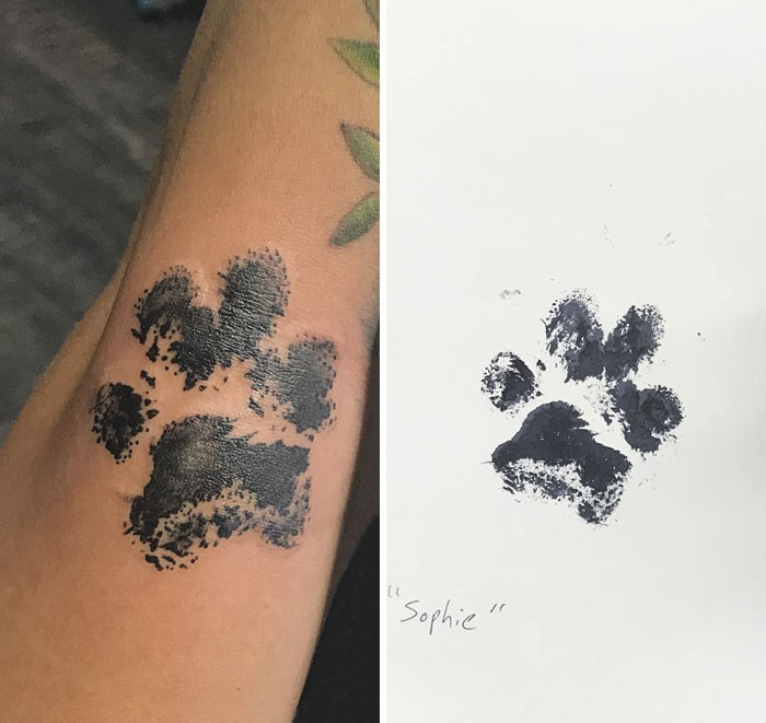 21 gazdi, aki a kutyája tappancsát tetováltatta magára16