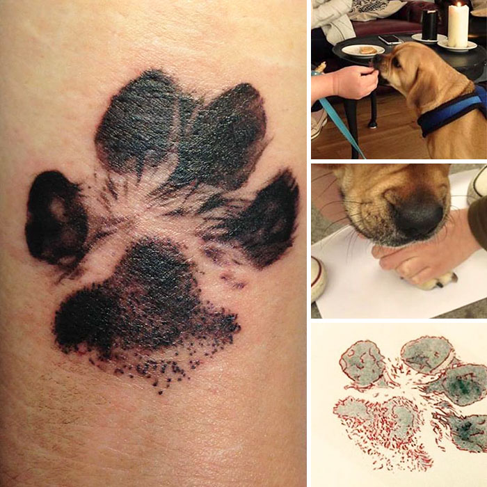 21 gazdi, aki a kutyája tappancsát tetováltatta magára17