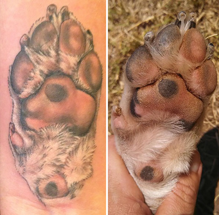 21 gazdi, aki a kutyája tappancsát tetováltatta magára2