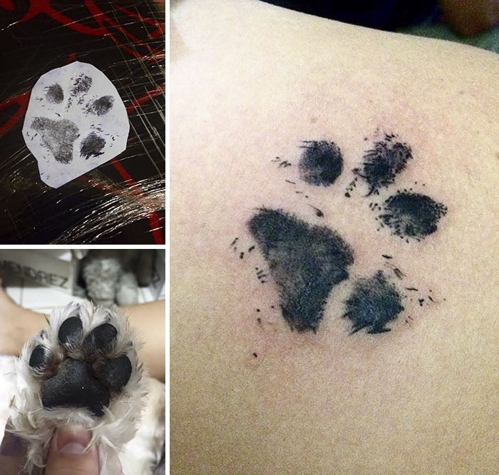 21 gazdi, aki a kutyája tappancsát tetováltatta magára20