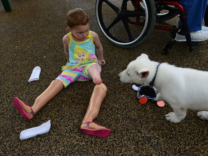 Egy láb nélkül született kislány fogadott örökbe egy mancs nélküli kiskutyát4