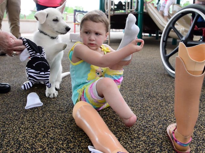 Egy láb nélkül született kislány fogadott örökbe egy mancs nélküli kiskutyát6