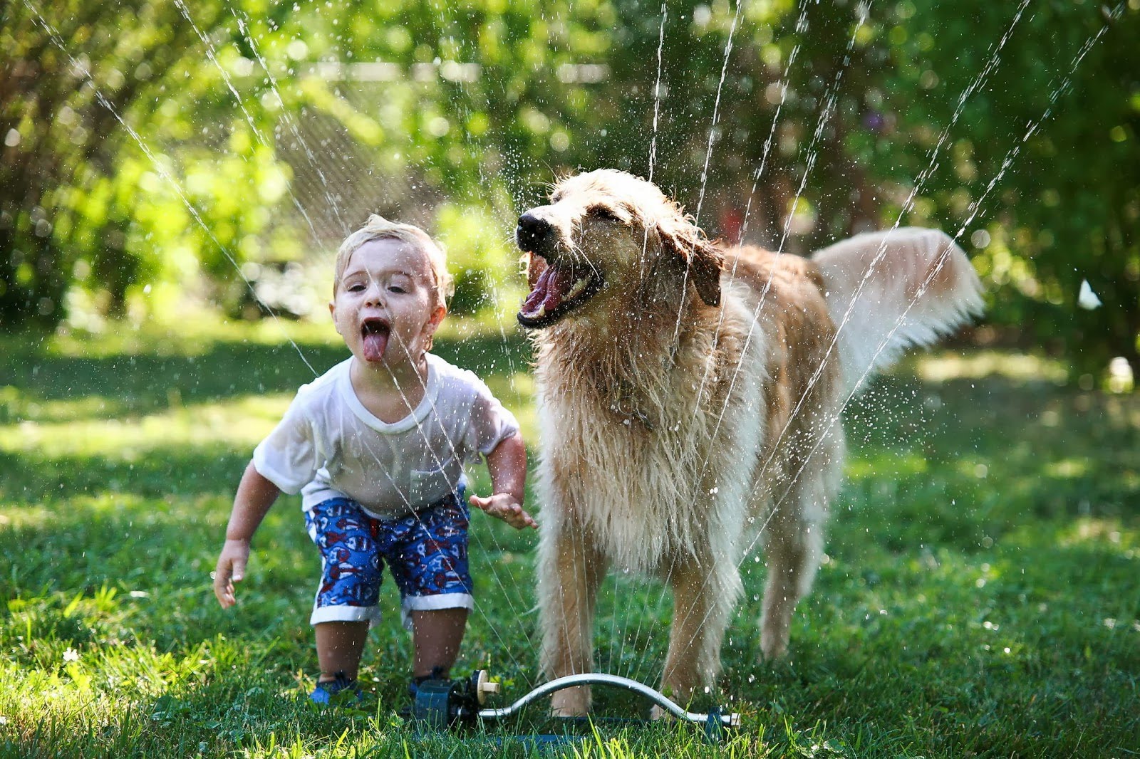 5 ok, amiért a kutyák jó hatással vannak a gyermekekre2