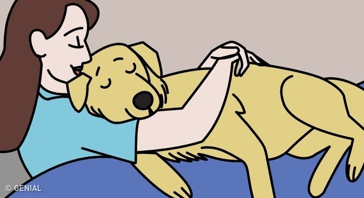 11 apró jel, amivel a kutyád elmondja, hogy szeret