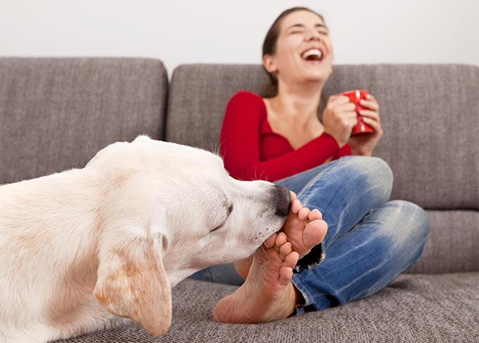 Ezért szereti a kutyád nyalogatni a lábadat