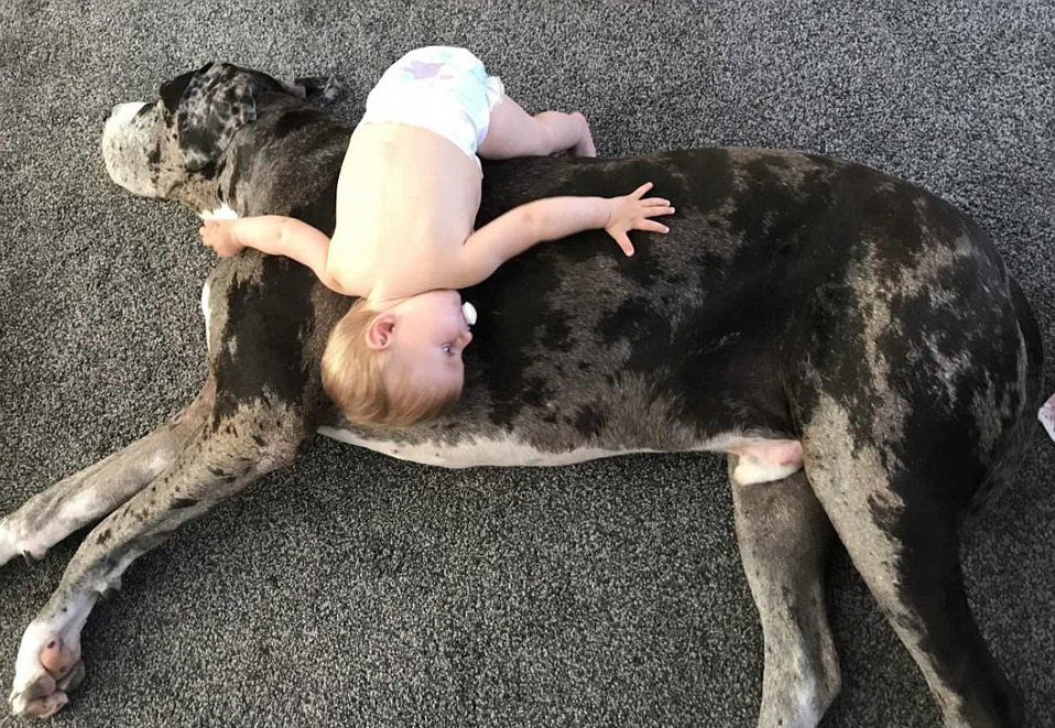 kutya lett a pici baba legjobb barátja