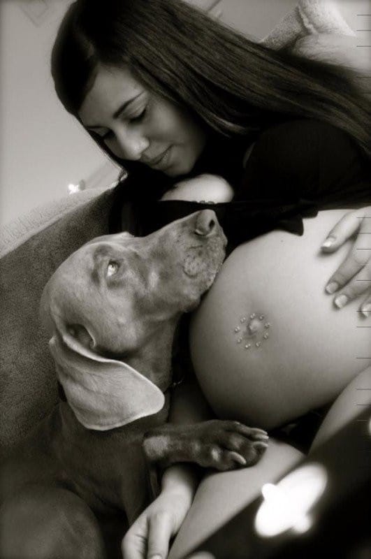 kutyák várják a kisbaba megszületését