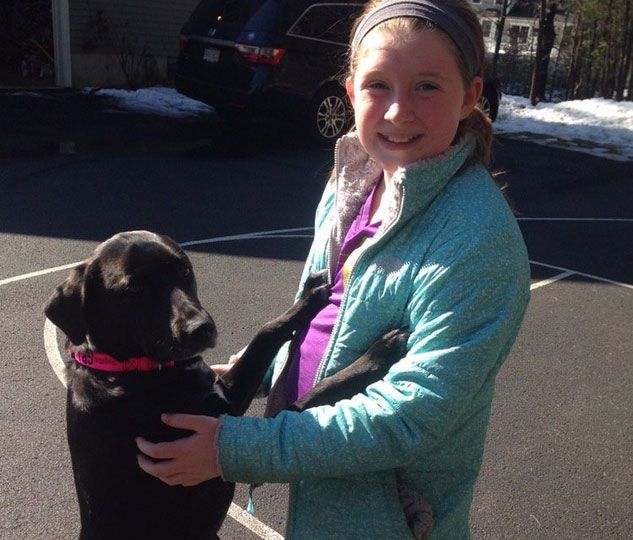 száz kutyát megmentett a 12 éves kislány