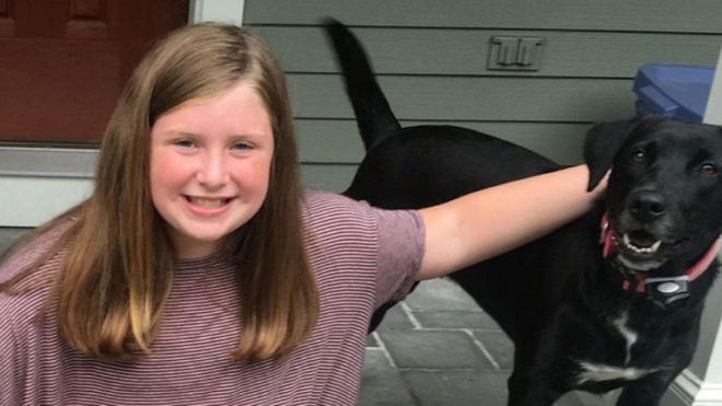 száz kutyát megmentett a 12 éves kislány