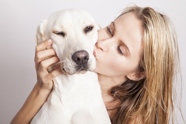 6 dolog, amivel már iszonyúan idegesíted a kutyádat