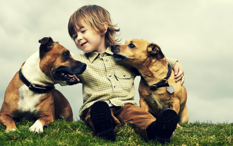 A kutyatulajdonos gyerekek sokkal egészségesebbek