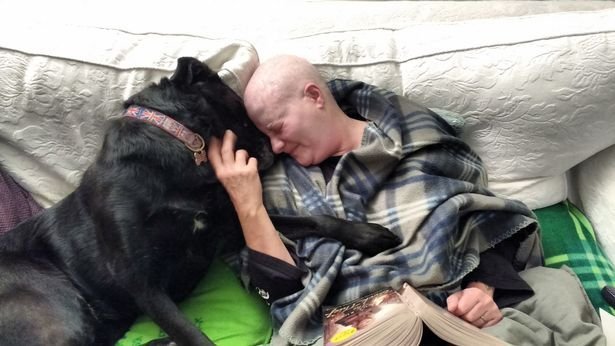 Kutya és gazdája együtt küzdött meg a rákkal