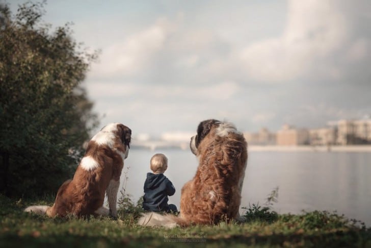 gyerekek és kutyák közt felbonthatatlan kötődés van