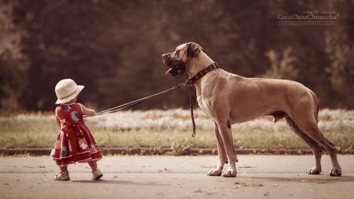 gyerekek és kutyák közt felbonthatatlan kötődés van