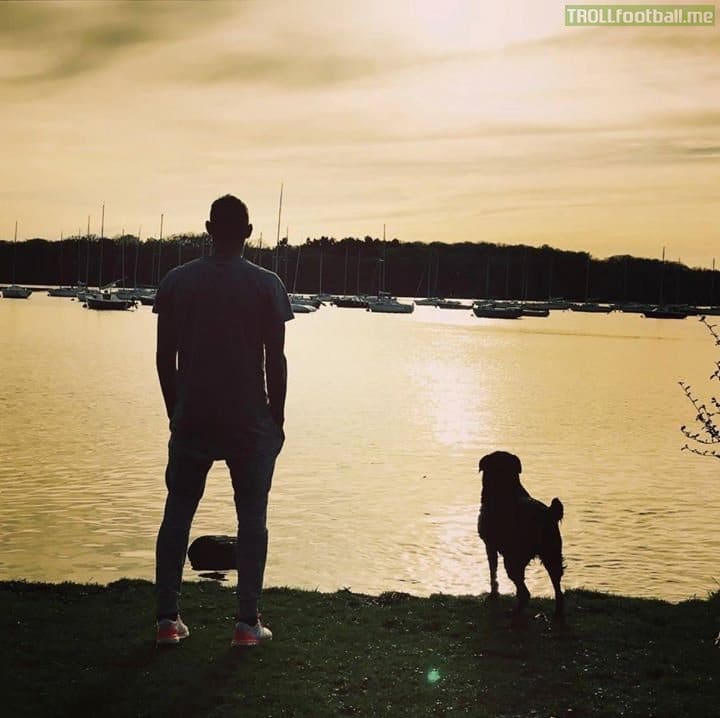 Emiliano Sala kutyája kitartóan várja meghalt gazdáját4
