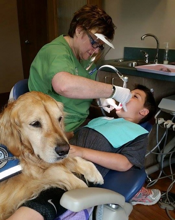 kutya nyugtatja a pácienseket a fogorvosnál