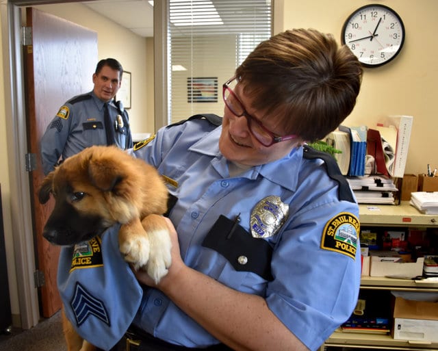 Örökbe fogadott kutya oldja a stresszt az egyik rendőrőrsön