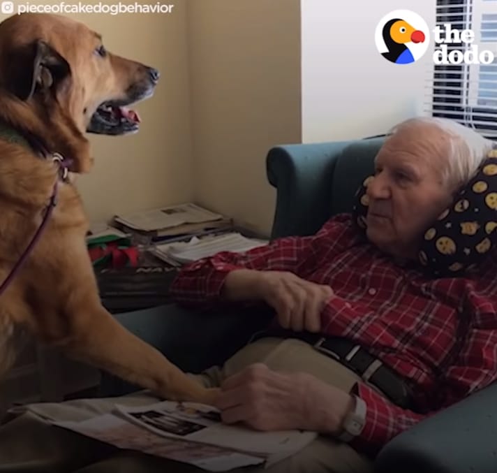 alzheimeres gazdáját látogatja az idős otthonban az utcán talált kutya