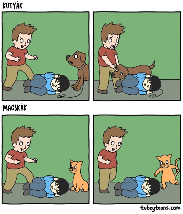 vicces különbség a kutyák és macskák között