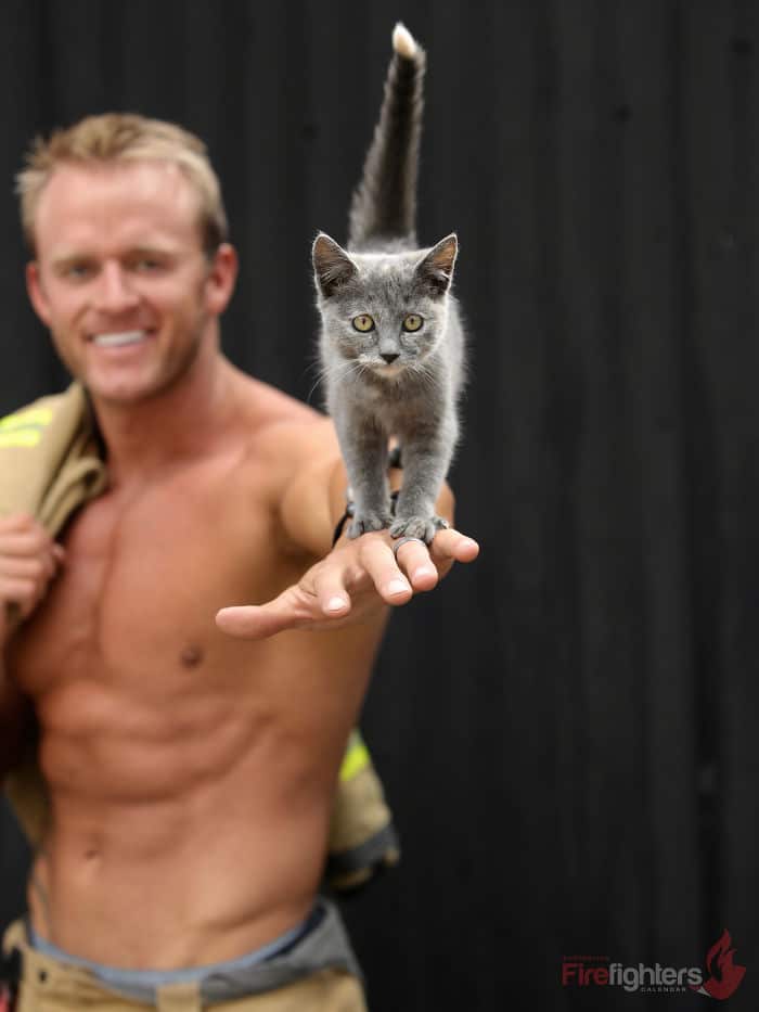 Ausztrál tűzoltók pózoltak mentett állatokkal