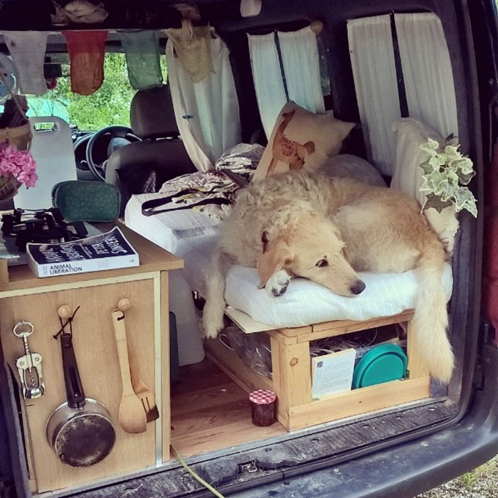 Felújította kisbuszát, hogy kutyájával bejárhassák a világot